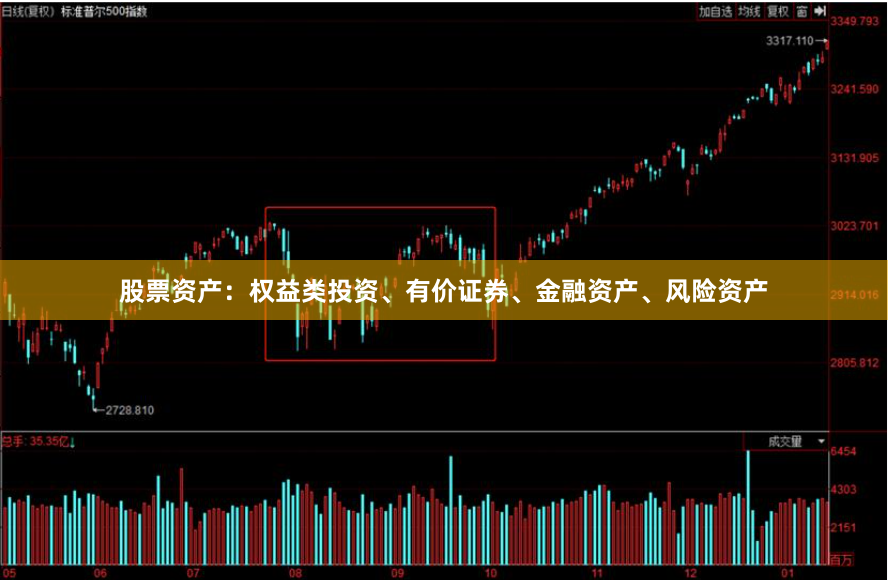股票资产：权益类投资、有价证券、金融资产、风险资产